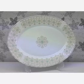 دیس و کاسه سالاد آرکوپال پارس اپال 148